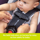 Load image into gallery viewer, Secure-Lift Infant Car Seat